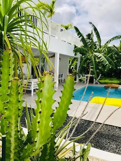 Villa A 100 M A Pied De La Plage サンタンヌ
